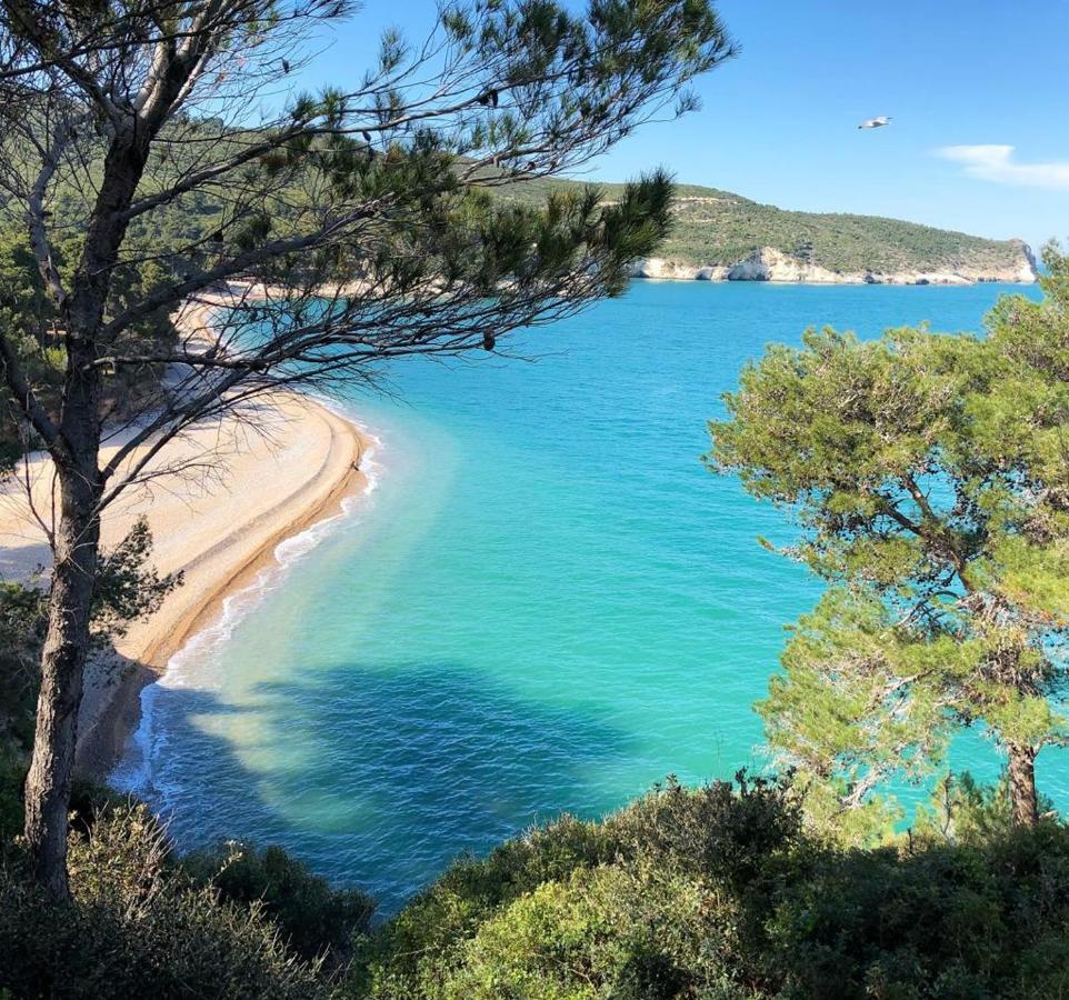 ホテル Baia Di Campi ヴィエステ エクステリア 写真